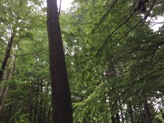 -波尔登森林公园