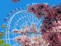 -石家庄市植物园