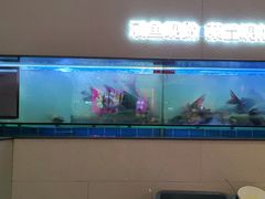 -老板恋上鱼(恒隆广场店)