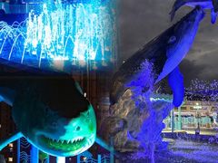 -海合安武汉极地海洋公园