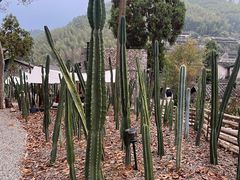 -MOJ coffee(瓯海泽雅水碓坑店)