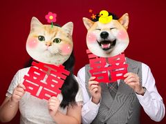 -bobo高端证件照工作室(三元桥店)
