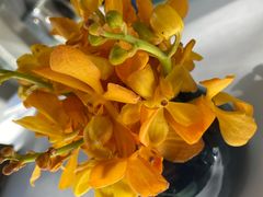 -止观小馆·辽河口渔家菜(王府井店)