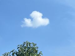 -吉安井冈山机场