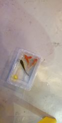 -开心巴士(恒一广场店)