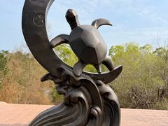 -广东惠东海龟国家级自然保护区