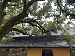 -普陀山风景名胜区-法雨禅寺