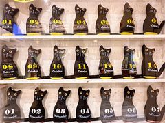 -猫咪博物馆(顶澳仔猫街店)