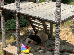 -大连森林动物园