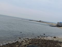 -放鸡岛生态旅游国际度假区