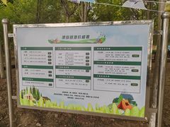 -西青郊野公园