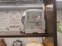 -富贵面包公司(运河店)