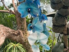 -北京植物园-展览温室