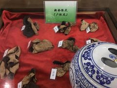 -广东中医药博物馆