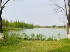-苏州太湖国家湿地公园