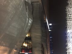-证大喜玛拉雅中心