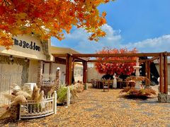 -Blue Concept Cafe&Farm·關於藍