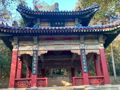 -紫霞湖公园