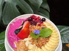 -Fern Forest Cafe