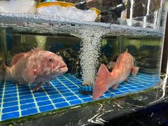 -舟山海鲜·江浙菜(银沙路店)