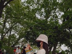 -灵顺寺