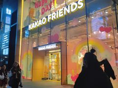 -KAKAO FRIENDS(弘大店)