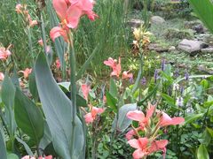 景点-望江楼公园