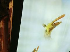 -徽三说·土徽菜·中国徽菜连锁品牌(一中店)