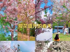 -白石龙音乐公园