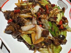 -鼎原力量东北吊炉烧烤(临河街店)