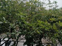 -故乡缘·香格里拉山庄(冷竹路店)
