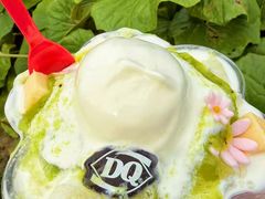 -DQ·蛋糕·冰淇淋(绿宝店)