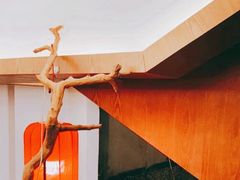 -唐猫庭院·千年陕菜(大唐不夜城店)