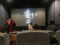 -山文星辉影城(济南和谐广场店)