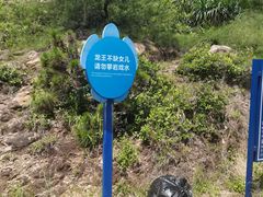 -广东惠东海龟国家级自然保护区
