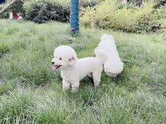 -北京恒爱动物医院(清景园分院)