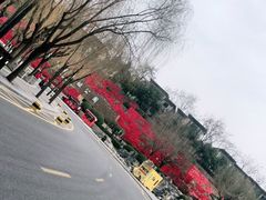 -西安曲江寒窑遗址公园