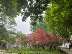 -石家庄市植物园