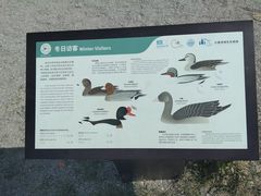 -大理洱海