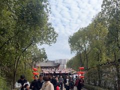 -横店影视城梦幻谷园区