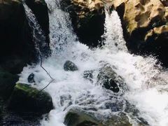 -华蓥山天意谷景区