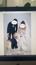 -北遇映画PHOTO GRAPHY STUDIO