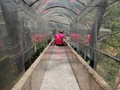 -牛鱼嘴原始生态风景区