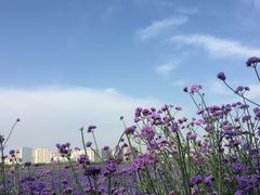 -赛汗塔拉风情园