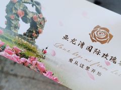 -亚龙湾国际玫瑰谷