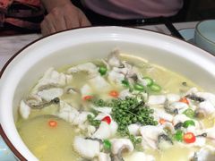 -青花椒花椒鱼(合生汇店)