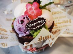 掌心花园plus&nbsp;&nbsp;外带冰淇淋-哈根达斯(深圳海岸城店)