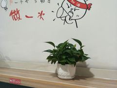-麦凯乐(尚志大街店)