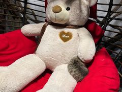 -么么咖啡(燕郊店)