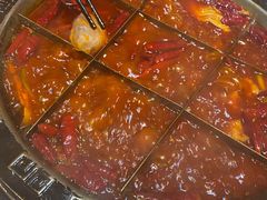 -渝大狮毛肚老火锅(普陀店)